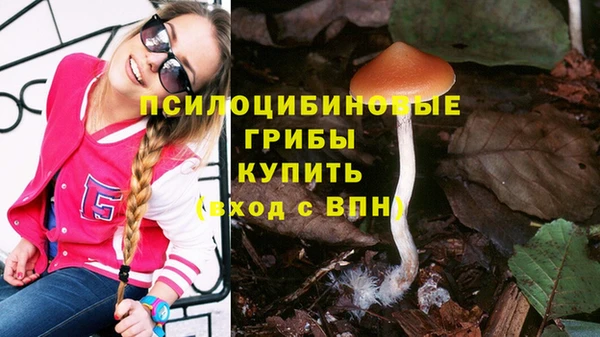 бутират Богданович