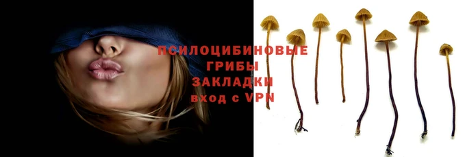 mix Богородицк