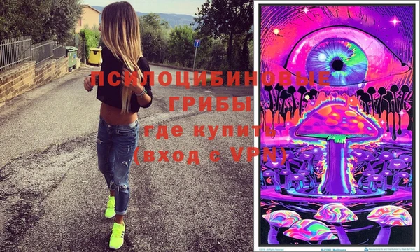 mix Богородицк