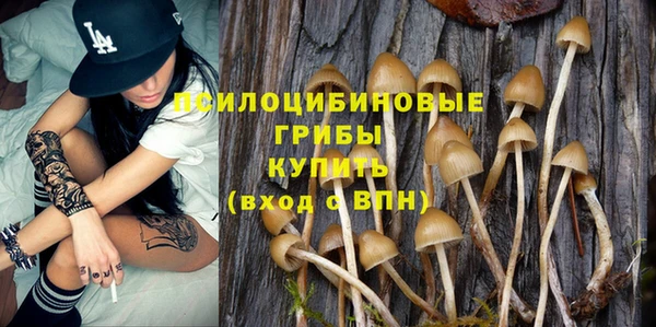 mix Богородицк