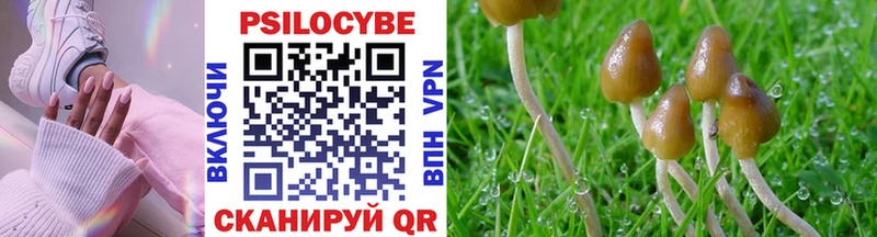 Псилоцибиновые грибы Psilocybine cubensis  Киреевск 